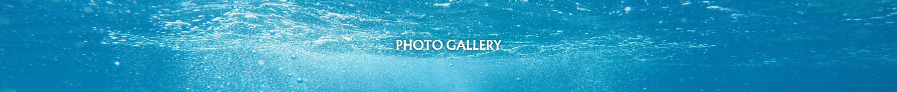 Inner Banner of Consumer Affairs